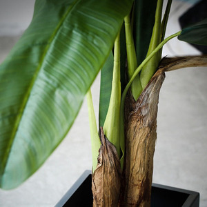 Banane artificielle Anti-uv personnalisé de haute qualité, <span class=keywords><strong>arbre</strong></span> fruit en bananier, décoration intérieure - Product Image 3