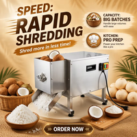 Multifunctionele fruit- en groenteverwerkingsmachine, commerciële elektrische kokosnootsnijder, vleesmolen en raspmachine