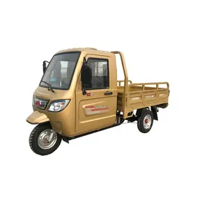 New Three Wheels Cargo Gasoline Tricycle Motorcycle Rickshaw with Driver Cabin Mobility Scooter Cargo Scooter Motor for Sale