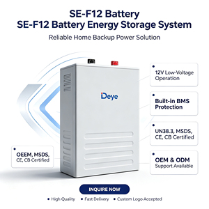 Batería de Bajo Voltaje Deye ESS SE-F12 LiFePO4 de 11.8Wh, Solución de Almacenamiento de Energía Doméstica para Sistemas Solares Híbridos, Stock de la UE - Product Image 1