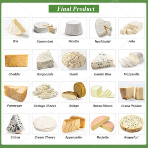 Petite usine de transformation de lait Fromage Tva Vente Équipement de fabrication Machine Prensa De Queso Automatizada - Product Image 4