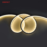 Bande lumineuse LED néon flexible 24V en silicone pour armoire et éclairage sous-meuble