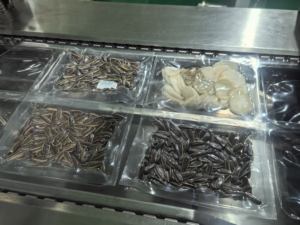 Nouvelle machine d'emballage sous vide de thermoformage automatique de saucisse d'acier inoxydable Machine d'emballage de scellant sous vide de film étirable - Product Image 5