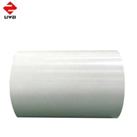 Bobines d'aluminium prépeintes blanches RAL9003 1100 Matériau Type de produit de haute qualité