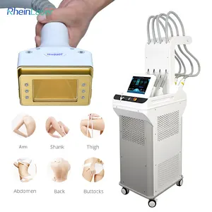 Weight Loss Body Shaping 1060Nm Diode Slimming Machine Anti Cellulite Fat Removal Equipment