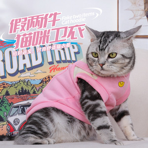 Nouvelles tenues chaudes pour chats automne/hiver, sweat-shirt pour chien, faux deux-pièces, gilet coupe-vent en fausse fourrure courte style dessin animé pour chats. - Product Image 1