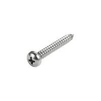 Vis autotaraudeuses à tête cylindrique Phillips GB845 en acier inoxydable 304 A2-70 pour tôles métriques M2.2 M2.9 M3.5 M3.9 M4.2 M4.8 M5.5