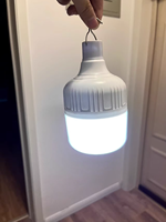 Portable 30W 80W 150W 200W Led USB Rechargeable Lumière Urgence Camping Ampoule Lampe pour Ménage En Plein Air en Stock