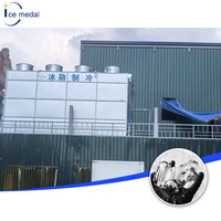 Machine à glace en tubes à ammoniac Icemedal 50-100 tonnes par jour pour grande usine de glace, entièrement automatique, industrielle, Maquina De Hielo