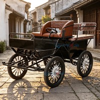 Nouvelle Arrivée Vente en Gros Chariot de Marathon Électrique à 4 Roues pour Poney, Frein à Disque Hydraulique, 2-4 Personnes, Nouveau Design, Petite Carrosse pour Chevaux