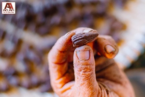 Handmade 100% Natural Organic Eco-Friendly <b>Cone</b> <b>Incense</b> Vietnamese Soapberry Mild Fragrance Non-Irritating Long-lasting - Product Image 3