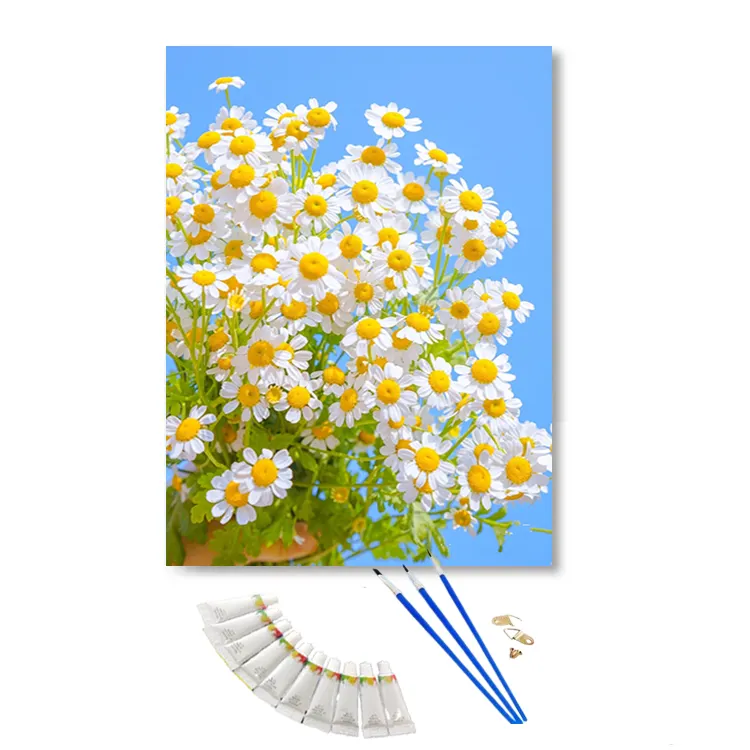 Bricolage aquarelle peinture personnalisée par numéros Kits sur toile fleurs et image de ciel peinture encadrée par numéros pour cadeaux pour adultes