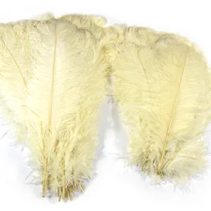 ostrich feather white best quality wholesaler plumes 70cm wholesale buy two color ostrich feathers for wedding centerpieces