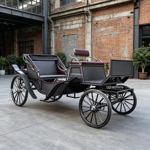 Calèche royale multi-places sans chevaux, à châssis en acier massif, pour les activités touristiques culturelles à grande échelle des centres de villégiature - Product Image 1