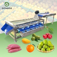 Tomate cerise avocat date automatique taille de classement des fruits propre et tri artificiel faire la machine à vendre
