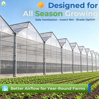 Invernadero Agrícola Grande de Múltiples Vetas con Estructura de Acero para Cultivo Comercial de Vegetales