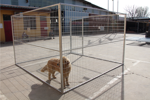 Verschillende Grootte Indoor Outdoor Hondenbox Grootgebracht Hond Loopt Gegalvaniseerd Metaal Sterke Hondenkennel (XMM-25318) - Product Image 5