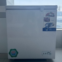 Congélateur coffre commercial en promotion pour la conservation de viande et de fruits de mer – Équipement de réfrigération pour cantines et restaurants