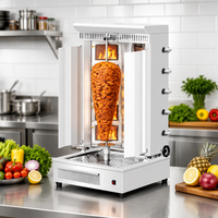 Nouvelle Machine à Kebab Rotative Commerciale à Gaz, Double Style, 5 Brûleurs, 10 Plaques, pour Restaurant, Fabrication de Shawarma, Usage Commercial