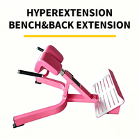 Banc d'hyperextension à 45 degrés pour salle de sport commerciale, banc d'extension dorsale pour l'entraînement des lombaires, des fessiers et des ischio-jambiers, équipement de fitness