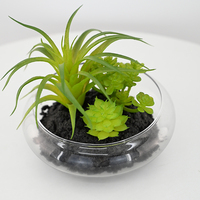 Tanaman Sukulen Bonsai Mini Ukuran Grosir, Tanaman Artifisial Berkualitas Tinggi, Pot Bunga Kaca dan Plastik, Dekorasi Tanaman Pot
