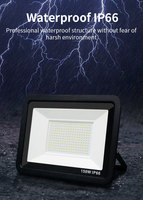 Hochleistungs-LED-Fluter mit SMD-Chip, CE-zertifiziert, Aluminiumgehäuse, Wandleuchte IP66, Gartenleuchte 10W 30W 50W 100W 150W 200W 300W