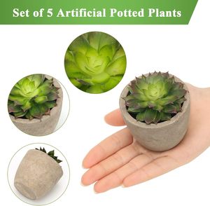 Commercio all'ingrosso misto di piante succulente artificiali Set di plastica finto <span class=keywords><strong>Cactus</strong></span> e fiori per la decorazione verde dell'home Office - Product Image 5