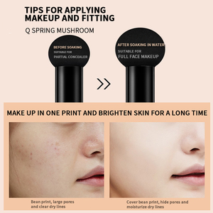 Cojín de aire de cabeza de hongo de alta calidad, crema BB, corrector hidratante, maquillaje iluminador, base líquida de aislamiento - Product Image 5