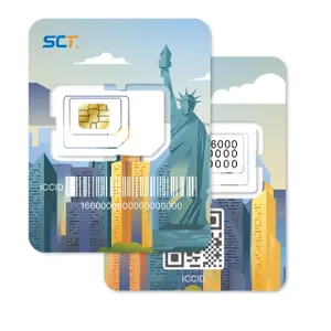 Grosir kartu SIM telepon Hotspot kartu seluler kartu IoT prabayar 4G standar Global untuk pelacak GPS dan jam tangan pintar kartu SIM interkom