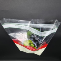 Sacs d'emballage alimentaire en plastique CPP souples, trapézoïdaux, résistants à l'humidité, imprimés en gravure personnalisée, haute résistance