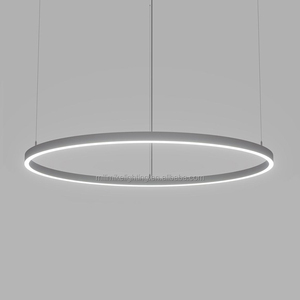 Perfil medio 800mm diámetro Led luz Circular lineal anillo regulable accesorios de iluminación interior gris aluminio acrílico luminaria - Product Image 1