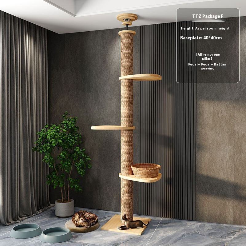 3 .ttz รุ่น F