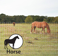 Clôture de champ pour chevaux en acier galvanisé - Écologique, anti-rongeurs, hauteur personnalisable, clôture extérieure pour ferme, jardin, balcons 3D