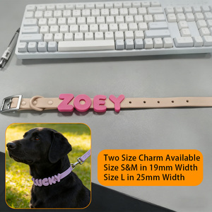 Proveedor de Fábrica de Colores Personalizados, Letras del Alfabeto <span class=keywords><strong>DIY</strong></span>, 26 Letras, Dijes de Silicona Suave Impermeables para Collares y Correas de Perro Personalizados - Product Image 2