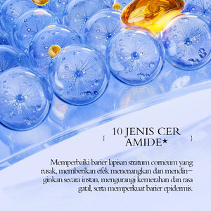 Crème Visage Hydratante KORMESIC 50g 10X Céramide, Marque Privée, Personnalisée, OEM, Soin de la Peau, Crème Visage Hydratante - Product Image 3