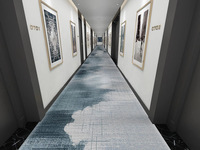 Bas prix meilleure vente tapis de luxe au design moderne tapis imprimé en nylon 3D tapis de passerelle d'hôtel de couloir pour chambre d'hôtel