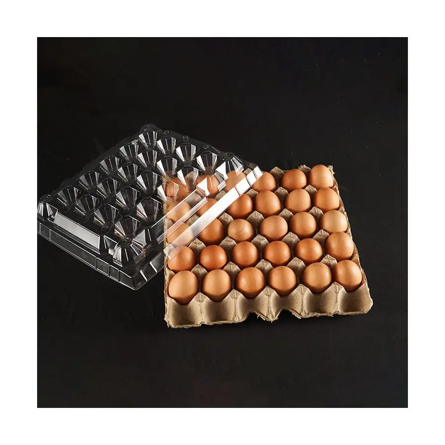 Factory Directly Sale S/M/L 3 Sizes 30 Holes Paper Bottom Eggs Tray High Quality PET Plastic Food Packaging Eggs Carton