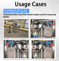 Precision IP66 Coriolis Mass Flow Meter CMF Series with 24VDC Low Power for Oils Slurries and Aqueous Solutions Measurement