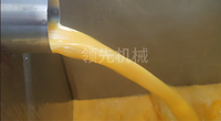 Citrus Oranje Juicer Machine Industriële Fruit Sapcentrifuge Sinaasappelsap Extraheren Machine
