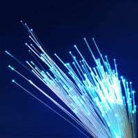 Venta Directa de Fábrica, Fibra Óptica de Alta Calidad con Extremo Luminoso, Cable de Fibra Óptica de Plástico de 0.5mm a 3.0mm, Decoración LED, Clasificación IP67