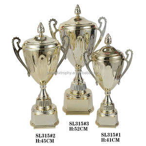 थोक अनुकूलित व्यक्तिगत शैली फुटबॉल ट्रॉफी हॉट सेलिंग पहले पुरस्कार धातु ट्रॉफी कप ताईक्वांडो टेनिस ट्रॉफी - Product Image 2