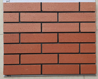 Brique glisse briques minces à l'extérieur de l'hôtel Villa bâtiment carreaux de mur extérieur