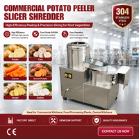 Laveuse, éplucheuse, trancheuse et râpeuse de légumes électrique commerciale BlinkSong, machine tout-en-un pour le traitement des pommes de terre, du taro et des carottes, 220V
