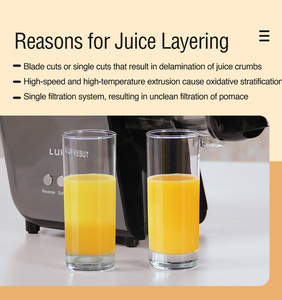 LUFVEBUT Small Kitchen Appliance Home Fruit Juicer Food Processors - Product Image 4