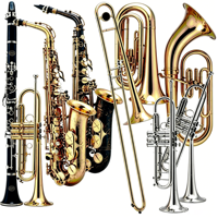Manufacturer Wholesale Custom Handmade High Grade Eb Tone Beautiful Profesional Alto Sax