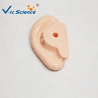 Modelo de Acupuntura Auricular de 13 cm, Modelo de Enseñanza de Puntos de Reflexología de PVC para Entrenamiento de Medicina Tradicional China, CE/ISO/ROHS/CNAS