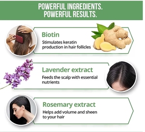 Soins capillaires à base de plantes de qualité supérieure : extraits de romarin et de menthe <span class=keywords><strong>pour</strong></span> la croissance des <span class=keywords><strong>cheveux</strong></span>, le soulagement du cuir chevelu et un nettoyage quotidien sûr et doux - Product Image 6