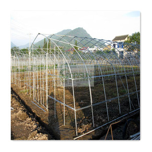 Automatizado Tunel De Efecto Invernaderos Usados Para La Venta Gotico Sistema Nebulisateur Pour Serre Agricale Tunnel Tomate - Product Image 6