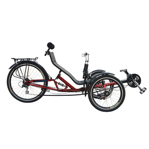 Find Cheap Recumbent Trike for a Safe 