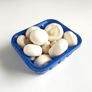 Tùy chỉnh rPet nhựa nấm đóng gói khay 230g 350g 460g dùng một lần rau đóng gói <span class=keywords><strong>container</strong></span> trái cây bao bì nhựa hộp - Product Image 2